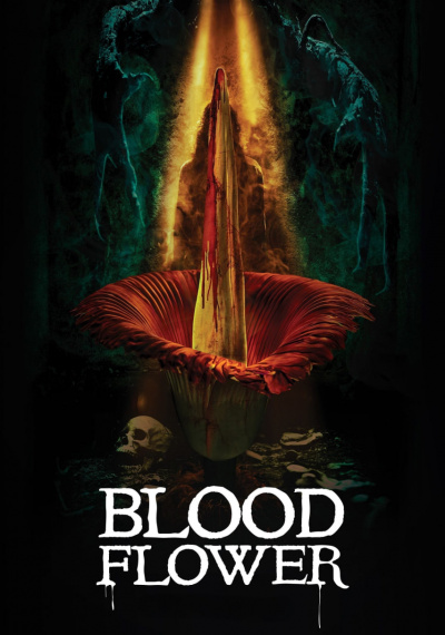 Фильмы онлайн